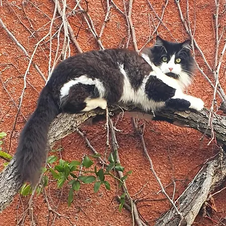 Apartment L'atelier Des Reves - Clim - Netflix - Wifi - Jardin Castelnau-d'Estretefonds