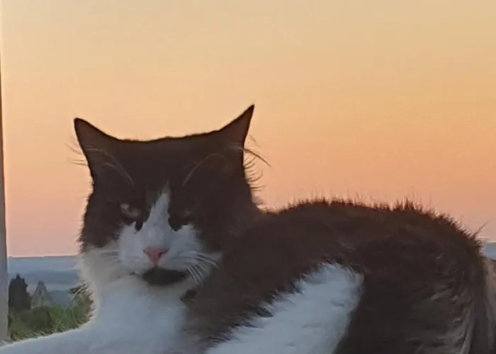 L'atelier Des Reves - Clim - Netflix - Wifi - Jardin * Castelnau-d'Estretefonds